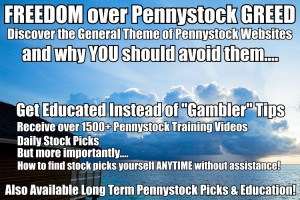 Long Term Penny Stock Trading and Mentor Eduction DVDs and Newsletters
